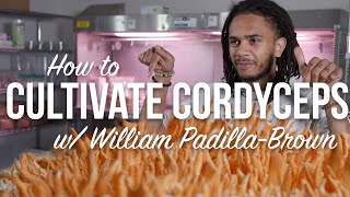 How to Cultivate Cordyceps Militaris Mushrooms  With William PadillaBrown  Grow in Jars or Bins [upl. by Manard]