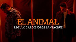 El Animal Video Oficial Régulo Caro x Jorge Santa Cruz [upl. by Ahsined]