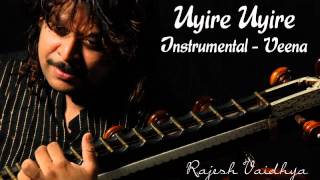 Narumugaiye Narumugaiye Rajesh Vaidhya on Veena [upl. by Ecadnac]