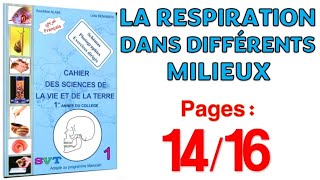 Azzedine Alami SVT 1APIC  Pages 1416 😉 la respiration dans différents milieux [upl. by Hammad12]