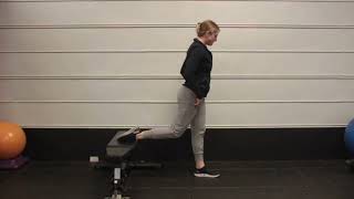 Bulgarian Split Squat Variations  Momentum Physical Therapy of New Paltz [upl. by Sutherland]