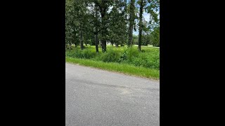 Lots And Land at 162 Country Club Drive Covington LA 70433  For sale [upl. by Samled]