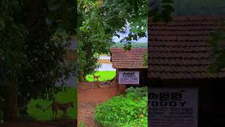 Toddy shop in Kerala palakkad kerala gramam palakkadkerala [upl. by Aihsi]