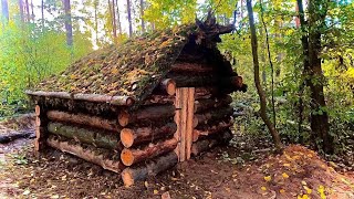 Building a twostory dugout for the winter [upl. by Mahla424]