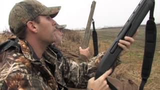 Specklebelly Goose Hunting on the Arkansas Grand Prairie [upl. by Faust697]