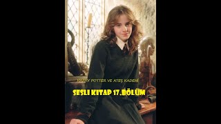 Harry Potter ve Ateş Kadehi  Bölüm 17  En İyi Sesli Kitap [upl. by Ailemaj343]