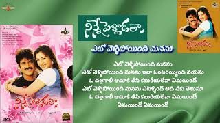 ఎటో వెళ్ళిపోయింది మనసు Eto vellipoyindi  Ninne pelladatha ninnepelladatha akkineninagarjuna [upl. by Ardaed]