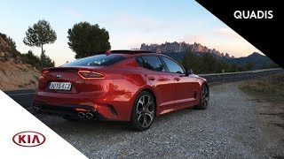 Kia Stinger GT  Prueba  Test  video en español  quadises [upl. by Sadnalor667]