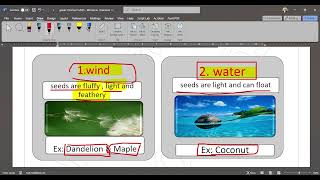 Science Grade 5 First term Concept 1 1 Lesson 5 [upl. by Nava]