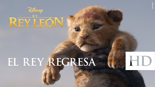 El Rey León de Disney – El regreso del rey Subtitulado [upl. by Furgeson]