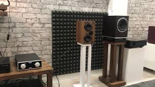 Super compact system PS Audio Sprout 100 amplifier amp Ophidian Mojo loudspeakers [upl. by Grae40]