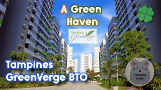 Tampines GreenVerge BTO  A walk at the Green Haven beside Tampines GreenRidges amp GreenWeave [upl. by Mervin]