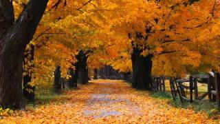 Antonio Vivaldi  Autumn [upl. by Keverian]