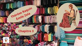 Thérèse Raquin  Émile Zola  Chapitre 3  Livre Audio Gratuit [upl. by Meerak182]