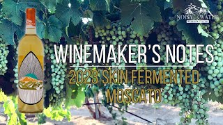 2023 Skin Fermented Moscato WMN Landscape [upl. by Rosette]