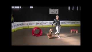 DogdanceTurnier Zusmarshausen 2015  JADDogs  Kerstin amp Bella [upl. by Frey151]