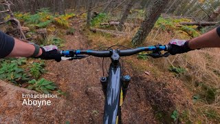 Emasculation Aboyne MTB [upl. by Bonn]