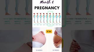 6 महीने के गर्भ में शिशु का विकास  6 month baby growth and development pregnancy pregnancy baby [upl. by Pember]