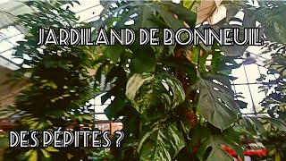 83 Visite Jardiland de Bonneuil  vaisje y trouver des pépites [upl. by Amalle299]