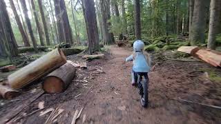 River trail MTB ride in the PNW Fall colors girl mtb prevelo bikelife [upl. by Sells]