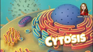 Cytosis JcK  Juego de Mesa  Como se Juega  Tutorial  Ludoismo [upl. by Dalia]