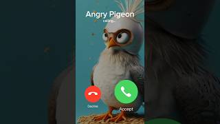 Angry Pigeon Call 🐦 cute baby prank call bird birds pigeon prankcall funny shorts [upl. by Nosnehpets268]