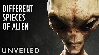 The Different Types Of Alien You Should Know About  Unveiled [upl. by Long]