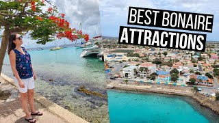 Bonaire Travel Guide  The Best Things to See and Do in Bonaire [upl. by Rudman314]