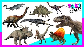 ¡ANIMALES PREHISTÓRICOS PARTE 1  Prehistoric Sea Animals  dinosaurios  jurassic world [upl. by Lombard]