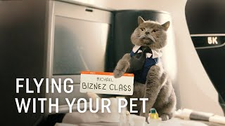 Flying with Your Pet  Turkish Airlines [upl. by Akimihs]