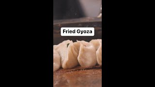 How Fried Gyoza is Made at a Tokyo Shop shorts [upl. by Aicnelav]