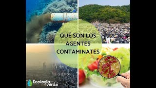 CONTAMINACIÓN AMBIENTAL CONTAMINANTES FÍSICOS QUÍMICOS Y BIOLÓGICOS [upl. by Kirimia]