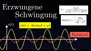 Die Erzwungene Schwingung  Schwingungen 10 von 12 [upl. by Liggitt]