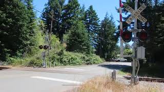 WABCO AL70s︱Crannog Rd Railroad crossing tour North bend OR︱762024 [upl. by Amirak]