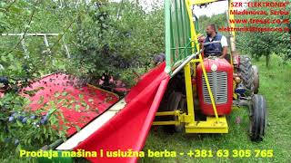 Berba šljive SPSUPERIOR Srbija 2016  Plum harvesting Serbia 2016 [upl. by Ilbert]