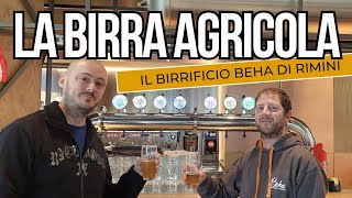 LA BIRRA AGRICOLA  Il Birrificio BEHA di RIMINI [upl. by Peri78]