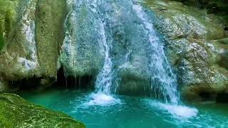 Relaxing birds amp water sounds nature river sounds for sleep meditation relaxation flowing water [upl. by Ynatterb]