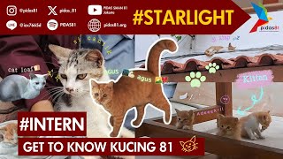 INTERN Get to Know 81s cats [upl. by Desirea144]