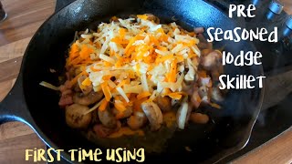 Lodge cast iron skillet first time use  pre seasoned  cast iron cooking [upl. by Tyree301]