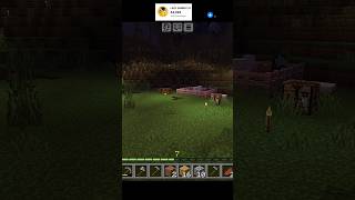 MINECRAFT IN REAL LIFE 🤣 viralvideo minecraft shorts [upl. by Nired]