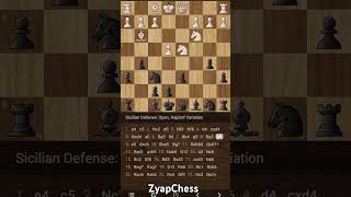 Sicilian Defense Open Najdorf Variation [upl. by Yrakaz399]