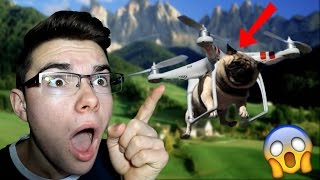 IL FAIT VOLER SON CHIEN AVEC UN DRONE  Vidéo réaction compilation Prank [upl. by Atteuqahs]