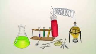 Richtig verstehen Proteinogene und essentielle Aminosäuren  Chemie  Organische Chemie [upl. by Roobbie]