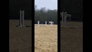 He jumped fypシ trending viral equestrian horseriding edit horsey equestriangirl song [upl. by Leahci49]