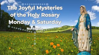 Virtual Rosary Monday  Joyful Mysteries  Rosary Monday  Follow Along Rosary  Rosary No Music [upl. by Ettenaej]