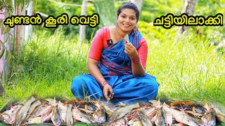 🔥ചുണ്ടൻ കൂരി വെട്ടി ചട്ടിയിലാക്കി 🤤VILLAGE COOKING smeesworld catfish cooking [upl. by Nailimixam]