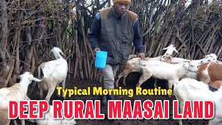 Typical MORNING ROUTINE in deep rural MAASAI VILLAGEMaasai Homestead Home Tour [upl. by Terri598]