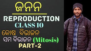 କୋଷ ବିଭାଜନ ସମ ବିଭାଜନ  Mitosis  class 10 life science chapter6 in odia  Reproduction  Part2 [upl. by Neemsaj]