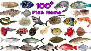 100 fish names in English with pictures fishfishnames fishtypes seafishmarineanimals [upl. by O'Hara]