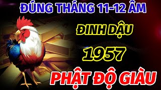 THẦY TỬ VI CHO BIẾT ĐÚNG TRONG THÁNG 11 VÀ 12 ÂM LỊCH TUỔI ĐINH DẬU SINH 1957 TRỜI PHẬT ĐỘ CỰC GIÀU [upl. by Akirea163]